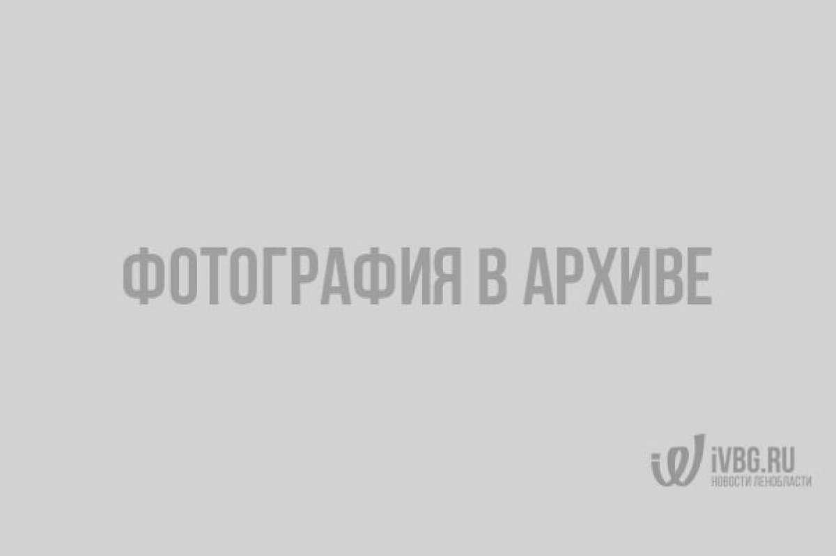18 фильмов-катастроф, которые демонстрируют нашу беззащитность перед природой
