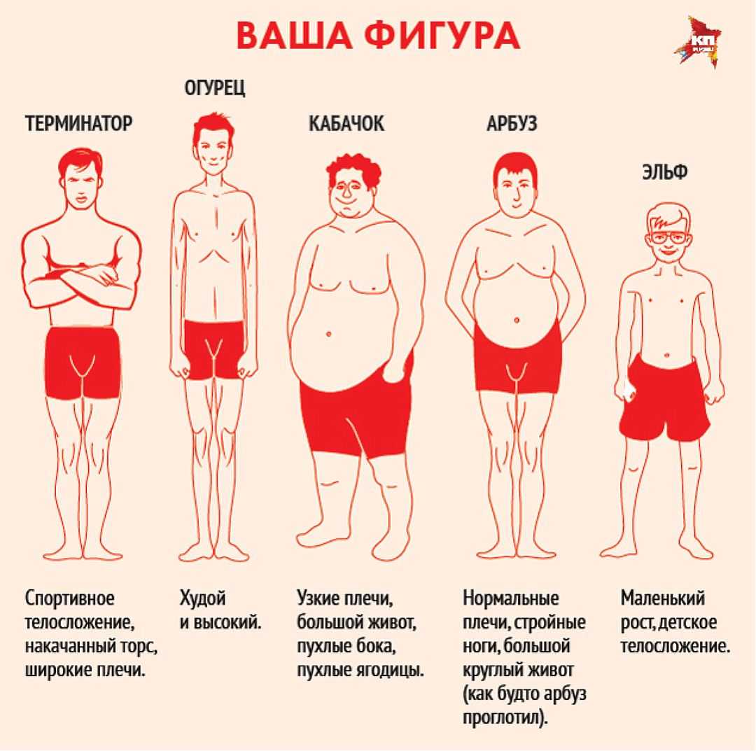 Соотношение роста и веса для мужчин: таблица + разные формулы расчетов