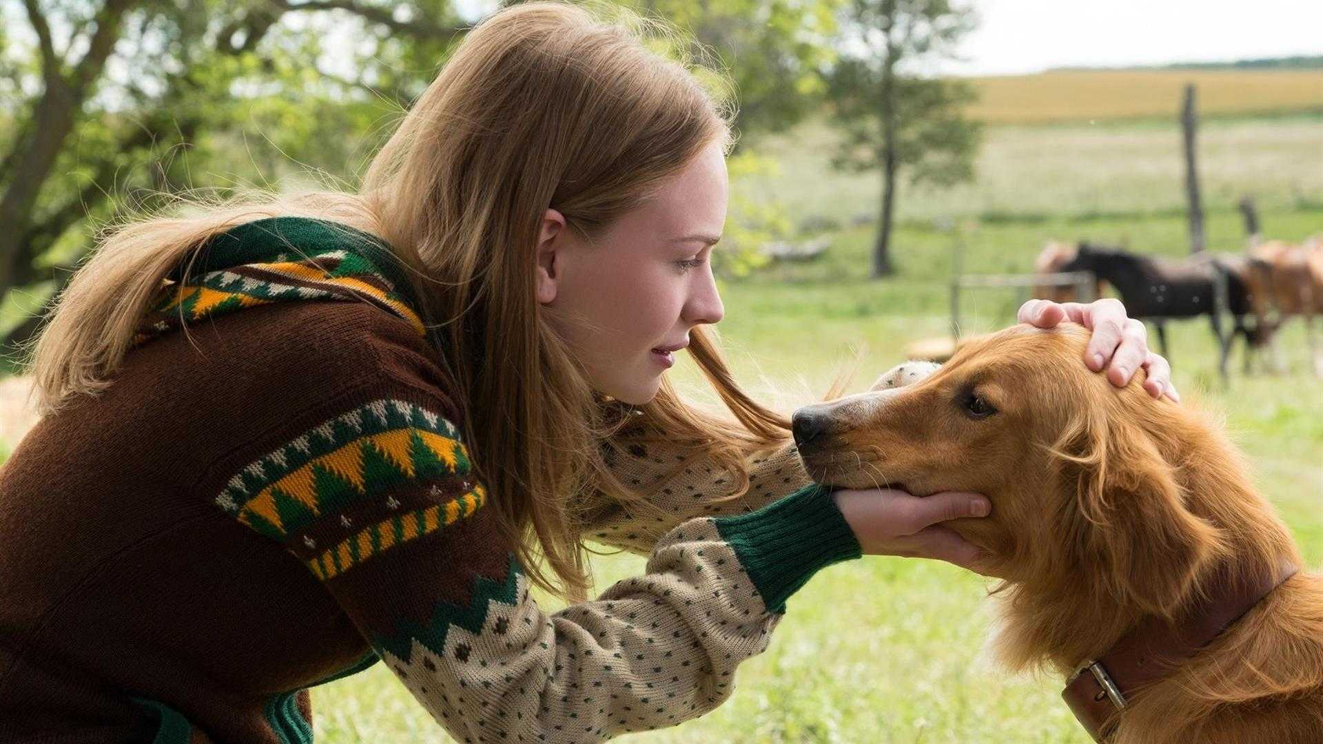Девочка живет с собаками