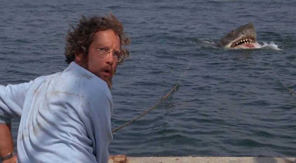10 лучших фильмов ужасов про акул, которые вселяют настоящий страх морских глубин